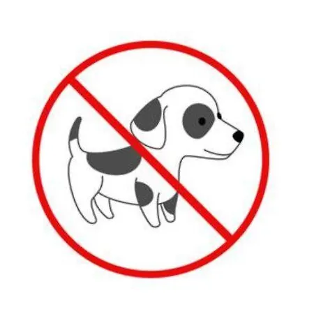 La Soulan - De Montagne 3* Cathervielle